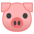 🐷 Wajah Babi Google