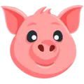🐷 Wajah Babi Messenger