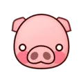 🐷 Wajah Babi