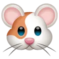 🐹 Hamster WhatsApp