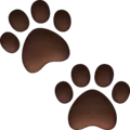 🐾 Jejak Kaki Hewan Facebook