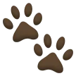 🐾 Jejak Kaki Hewan Samsung