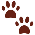 🐾 Jejak Kaki Hewan Twitter