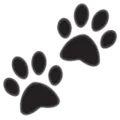 🐾 Jejak Kaki Hewan WhatsApp