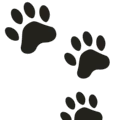 🐾 Jejak Kaki Hewan