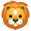 🦁 Singa WhatsApp