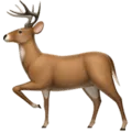 🦌 Rusa Apple
