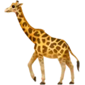🦒 Jerapah Apple