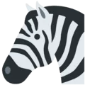 🦓 Zebra Twitter