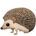 🦔 Landak Facebook