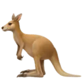 🦘 Kanguru Apple