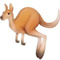 🦘 Kanguru Facebook