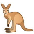🦘 Kanguru Googl