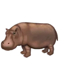 🦛 Kuda Nil WhatsApp