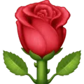🌹 Mawar Facebook