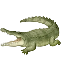 🐊 Buaya Facebook 2