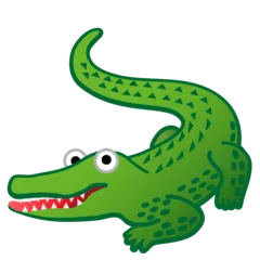 🐊 Buaya Google 3