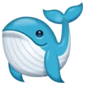 🐋 Paus WhatsApp