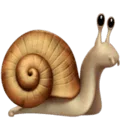 🐌 Siput Apple