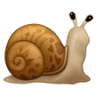 🐌 Siput Samsung