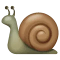 🐌 Siput WhatsApp