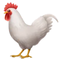 🐓 Ayam Jantan Apple