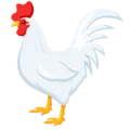 🐓 Ayam Jantan Messenger