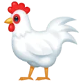 🐓 Ayam Jantan WhatsApp