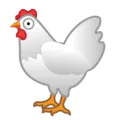 🐔 Ayam Google