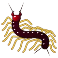 🐛 Hama