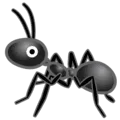🐜 Semut Google