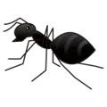 🐜 Semut