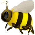 🐝 Lebah Madu Apple