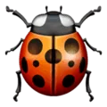 🐞 Kumbang Koksi Apple