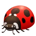 🐞 Kumbang Koksi Facebook