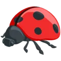 🐞 Kumbang Koksi Messenger