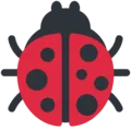 🐞 Kumbang Koksi Twitter