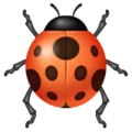 🐞 Kumbang Koksi WhatsApp