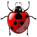 🐞 Kumbang Koksi