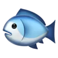 🐟 Ikan Apple