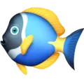 🐠 Ikan Tropis Facebook