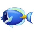 🐠 Ikan Tropis WhatsApp