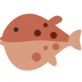🐡 Ikan Buntal Twitter