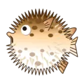 🐡 Ikan Buntal