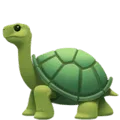 🐢 Kura Kura Apple