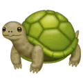 🐢 Kura Kura WhatsApp