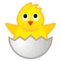 🐣 Anak Ayam Menetas Google