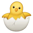 🐣 Anak Ayam Menetas Samsung