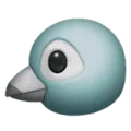🐦 Burung Apple