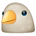 🐦 Burung WhatsApp